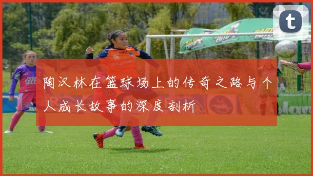 陶汉林在篮球场上的传奇之路与个人成长故事的深度剖析