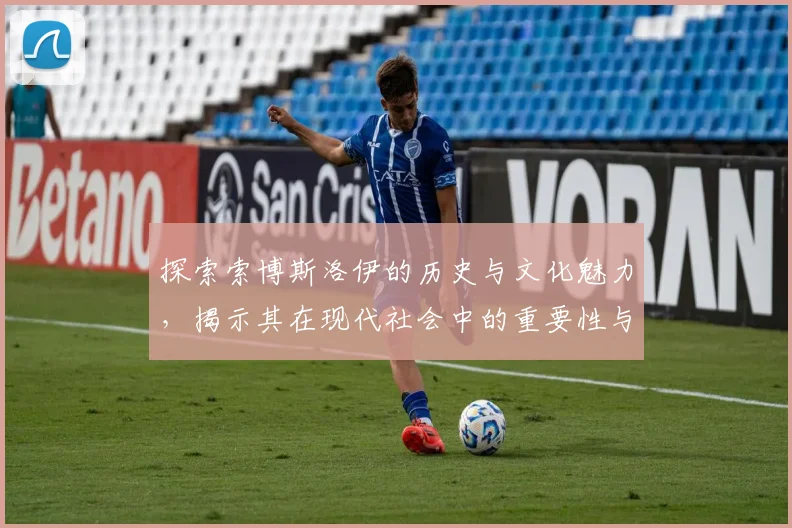 探索索博斯洛伊的历史与文化魅力，揭示其在现代社会中的重要性与影响力
