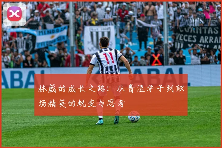 林葳的成长之路：从青涩学子到职场精英的蜕变与思考