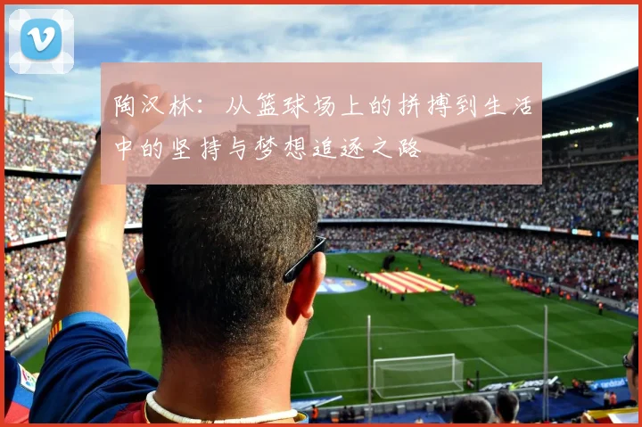 陶汉林：从篮球场上的拼搏到生活中的坚持与梦想追逐之路